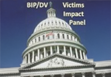VIP VICTIMS IMPACT PANEL - Domestic Violence/ Batterer Intervention